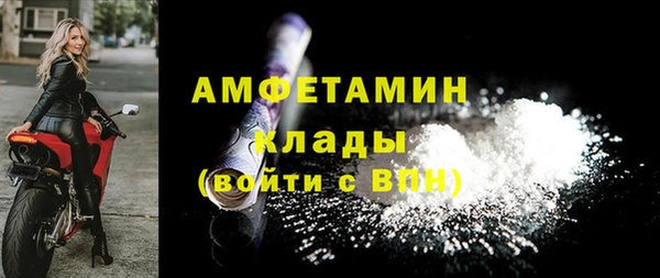 соль ск Каменка