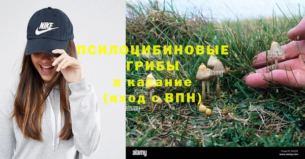 прущий лед Валдай