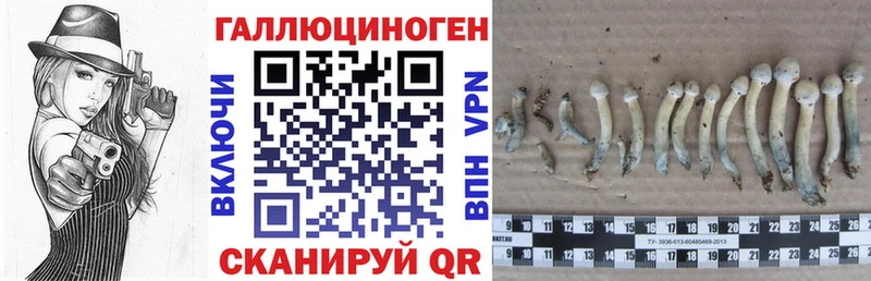 Псилоцибиновые грибы прущие грибы  купить наркоту  Коммунар 